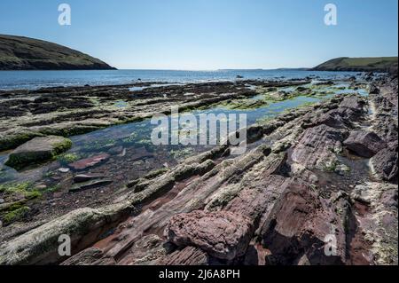 Beautiful colourful rock pools on Manorbier beach in Pembrokshire South Wales Stock Photo