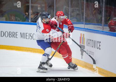 TYCHY, POLAND - APRIL 29, 2022: The Hockey Match Of IIHF 2022 Ice ...