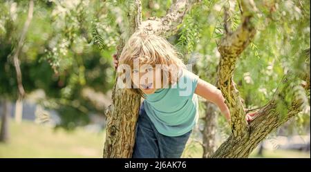 Happy energetic boy kid climb tree summer outdoors, tree climbing Stock Photo