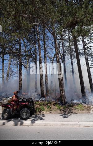 Ontario, Canada. 29th Apr, 2022. April 29, 2022, Toronto, Ontario, Canada: City of Toronto forest workers set light to a large portion of High Park in the west end of the city Friday afternoon. The controlled burn is meant to clear dried plants that are inhibiting new growth in the park. (Credit Image: © Arlyn McAdorey/ZUMA Press Wire) Credit: ZUMA Press, Inc./Alamy Live News Stock Photo