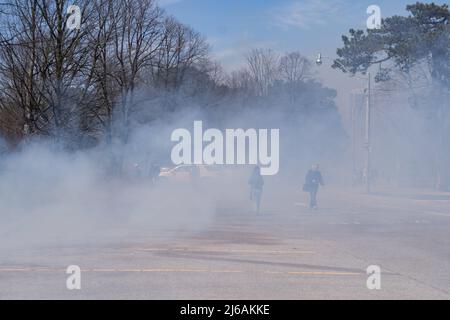 Ontario, Canada. 29th Apr, 2022. April 29, 2022, Toronto, Ontario, Canada: City of Toronto forest workers set light to a large portion of High Park in the west end of the city Friday afternoon. The controlled burn is meant to clear dried plants that are inhibiting new growth in the park. (Credit Image: © Arlyn McAdorey/ZUMA Press Wire) Credit: ZUMA Press, Inc./Alamy Live News Stock Photo