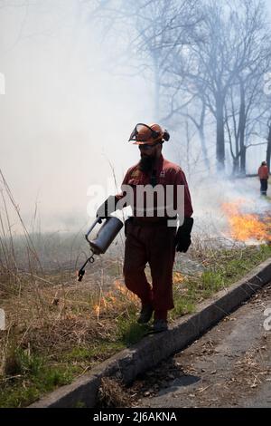 Ontario, Canada. 29th Apr, 2022. April 29, 2022, Toronto, Ontario, Canada: City of Toronto forest workers set light to a large portion of High Park in the west end of the city Friday afternoon. The controlled burn is meant to clear dried plants that are inhibiting new growth in the park. (Credit Image: © Arlyn McAdorey/ZUMA Press Wire) Credit: ZUMA Press, Inc./Alamy Live News Stock Photo