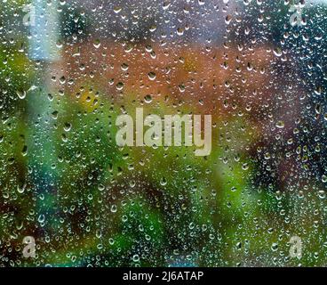 Rain drops on a window Stock Photo