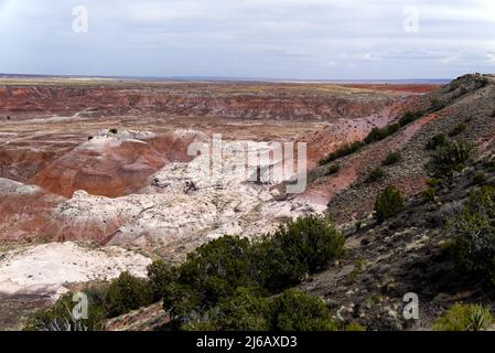 Painted Desert - Rim Trail from Tawa Point Stock Photo