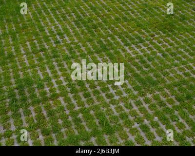 eco-friendly parking of concrete cells and turf grass Stock Photo