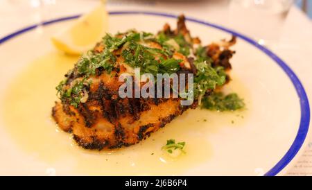Baked stuffed squid garnished with parsley on white blue rimmed plate Stock Photo