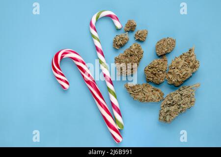 Cannabis buds and Christmas lollipops on blue layout. Marijuana blooms. Drying hemp flowers on a table, top view, flat lay. Micro dosing concept. Stock Photo