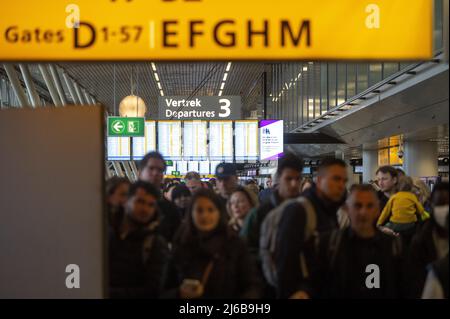 Schiphol, Netherlands. 30th Apr, 2022. 2022-04-30 07:11:20 SCHIPHOL - Schiphol Airport is very busy this weekend. The airport is facing serious staff shortages because there are hundreds of vacancies at the check-in desks, security and in the baggage basement that cannot be filled. ANP EVERT ELZINGA netherlands out - belgium out Credit: ANP/Alamy Live News Stock Photo