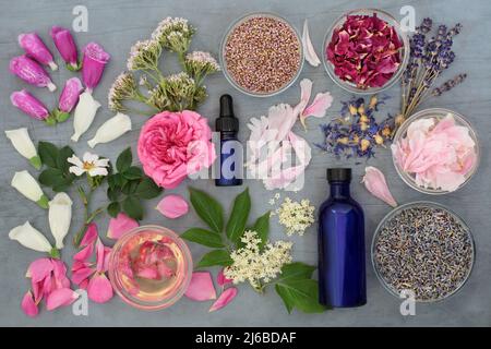 Herbs and flowers used in naturopathic herbal plant medicine and flower remedies for natural treatments with essential oil bottles. Stock Photo