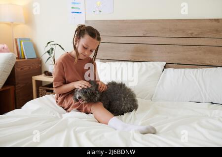 Smiling girl with braided hair sitting on bed in her room and patting dog Stock Photo