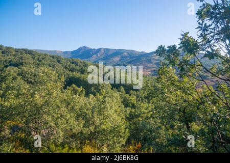 Landscape. Sierra del Rincon Biosphere Reserve, Madrid province, Spain. Stock Photo