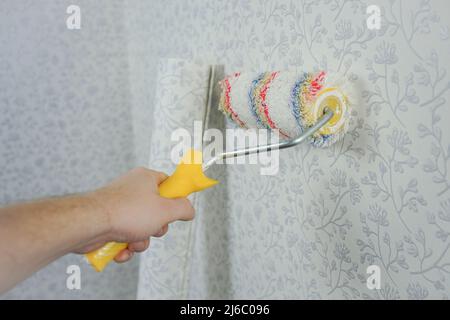 Hand holds a roller for painting the walls. Soft roller for wallpapering and textured application Stock Photo