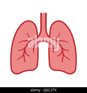 human lungs anatomy cartoon flat design isolated Stock Vector