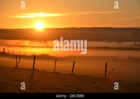 Sunset and low mist rolling over farm fields, near Culmaily, Sutherland, Scotland, UK. Stock Photo
