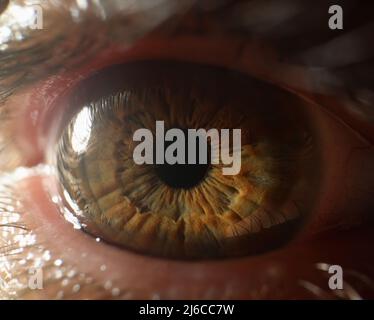 Close-up of persons eye, extreme macro shot of female or male sight organ, shadows of green eye colour. Ophthalmology, eyesight check and medicine con Stock Photo