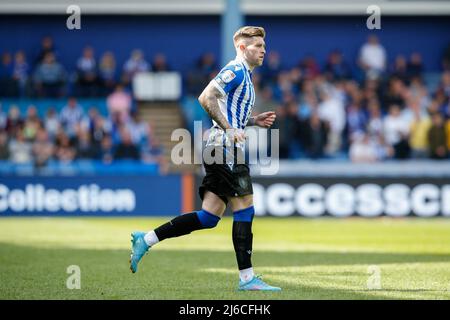 Josh Windass #11 of Sheffield Wednesday celebrates his goal to make it ...