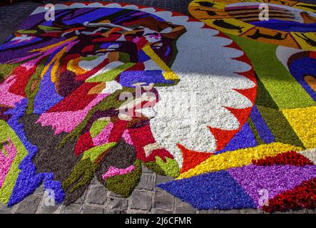 Infiorata of Spello Umbria Italy Stock Photo