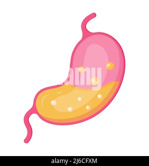Stomach icon vector, Symbol of gut flora in healthy stomach Stock Vector