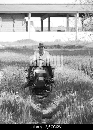 senior italian farmer transporting seeds in his small tractor in the fields Stock Photo