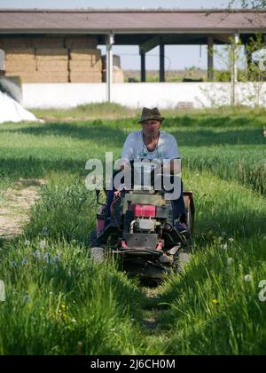 senior active italian farmer transporting seeds in his small tractor in the fields Stock Photo