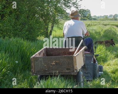 senior italian farmer transporting seeds in his small tractor in the fields Stock Photo