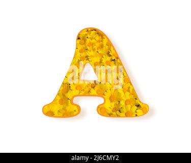 Letter A logo. Yellow color spring flower capital letter A, design element alphabet, daisies texture, vector illustration isolated on white background Stock Vector