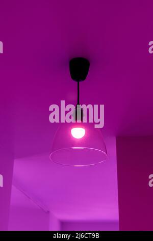 Lamp on the ceiling in the room in purple light Stock Photo