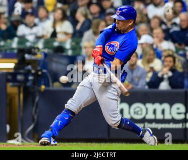 Chicago Cubs Rafael Ortega (66) bats during a Major League Baseball game  against the Cincinnati Reds on September 8, 2022 at Wrigley Field in  Chicago, Illinois. (Mike Janes/Four Seam Images via AP