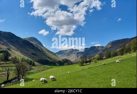 St Sunday Crag, Dollywaggon Pike, and Nethermost Pike seen from Grisedale, Patterdale, Lake District, Cumbria Stock Photo