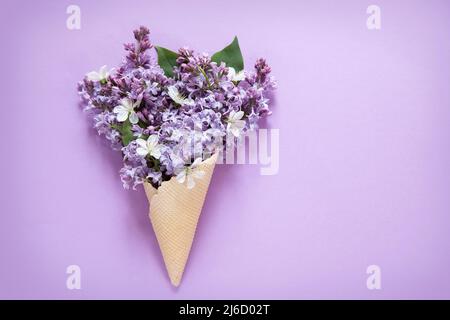 Spring lilac in ice cream cone with copy space Stock Photo