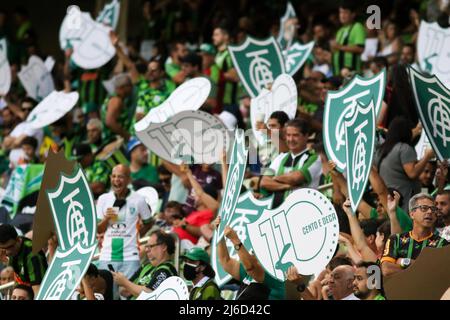 MG - Belo Horizonte - 04/30/2022 - BRAZILIAN A 2022 AMERICA-MG X ATHLETICO-PR - America-MG fans during a match against Athletico-PR at the Independencia stadium for the Brazilian championship A 2022. Photo: Fernando Moreno/AGIF/Sipa USA Stock Photo