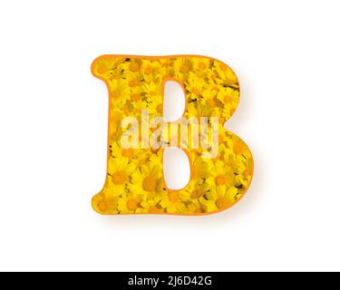 Letter B logo. Yellow color spring flower capital letter B, design element alphabet, daisies texture, vector illustration isolated on white background Stock Vector