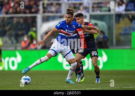 Genoa, Italy. 30 April 2022. Antonio Candreva of UC Sampdoria competes for  the ball with Pablo Galdames of Genoa CFC during the Serie A football match  between UC Sampdoria and Genoa CFC.