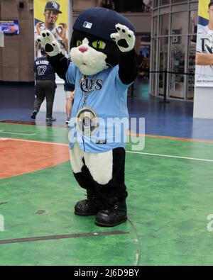 St. Petersburg, FL. USA; D.J. Kitty, one of the Tampa Bay Rays mascots,  greets arriving fans during a major league baseball game between the Tampa  Bay Rays and the Minnesota Twins, Friday