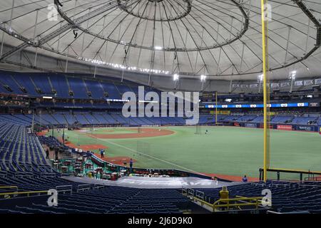St. Petersburg, FL. USA; Tampa Bay Rays mascot D.J. Kitty entertains the  fans during a major league baseball game against the Seattle Mariners,  Monday, August 2, 2021, at Tropicana Field. The Mariners