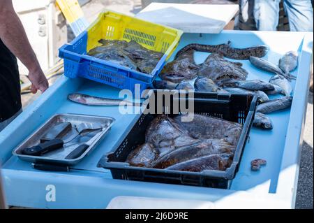 Catch of the day , fresh fish for sale on daily outdoor fisherman's market in small old port in Cassis, Provence, France Stock Photo