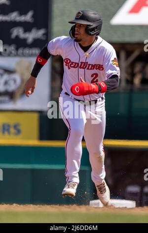 April 30, 2022: Rochester Red Wings outfielder Richard Urena (15) takes a  swing against the Syracuse Mets. The Rochester Red Wings hosted the  Syracuse Mets in an International League game at Frontier
