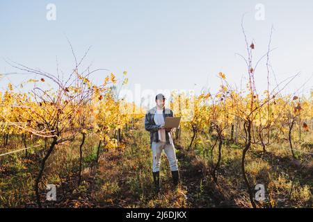 Young latin farmer man teleworking on his laptop in the middle of his vineyard plantation  Stock Photo