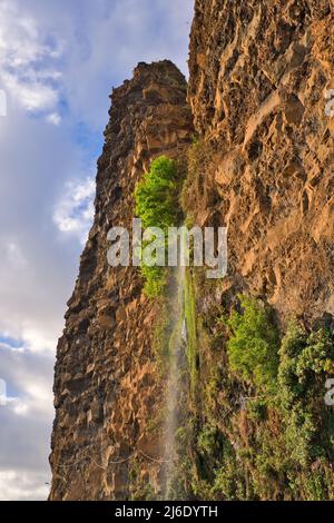 Cascata dos Anjos, Angels Waterfall, located in the civil parish of Anjos, municipality of Ponta do Sol, the water cascades directly onto the coastal Stock Photo