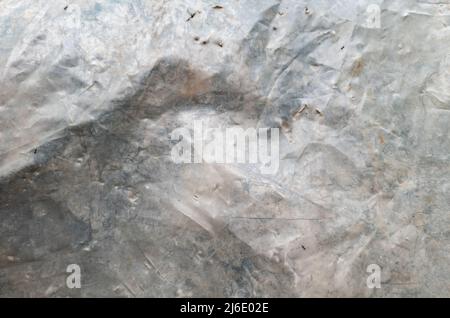 Background from old crumpled dirty polyethylene. Gray streaks and spots. Backdrop Stock Photo