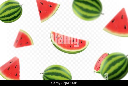Falling watermelon fruit on transparent background. Blurred and realistic watermelon slices and geen leaves for advertising. Stock Vector
