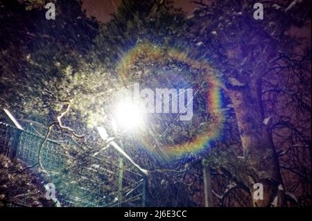 lantern shines near trees in winter, lomography Stock Photo