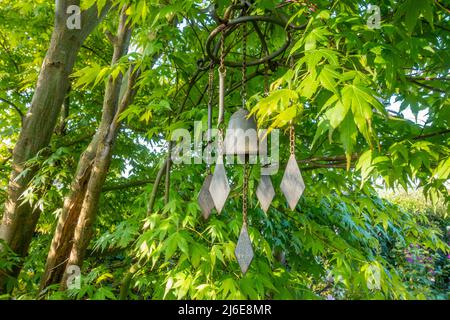 A wind chime garden ornament hanging from a Japanese maple tree in a garden Stock Photo