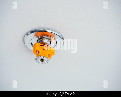 Close-up fire sprinkler, chrome and plastic orange color materials isolated on white ceiling background with copy space, safety system with automatic Stock Photo