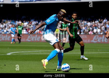 NAPLES, ITALY - APRIL 30: Victor Osimhen of SSC Napoli scores his Goal ,during the Serie A match between SSC Napoli and US Sassuolo at Stadio Diego Armando Maradona on April 30, 2022 in Naples, Italy. (Photo by MB Media) Stock Photo