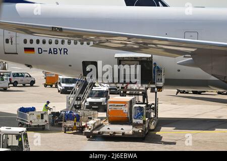 Loading Lufthansa Boeing 747 Frankfurt Airport Germany Stock Photo - Alamy