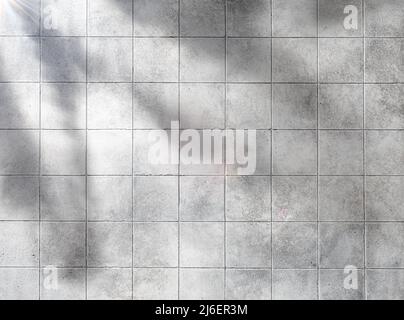 Grey marble tile wall background in sunlight with palm leaf shadow texture Stock Photo