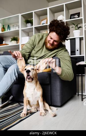 Young bearded man sitting on sofa and playing with his dog pulling his big ears Stock Photo