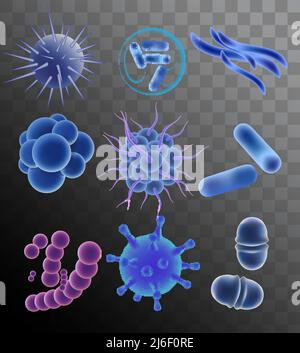 Vector realistic blue viruses bacteria microbes Stock Vector
