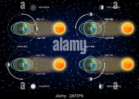 tides diagram. Low and high lunar tides. Effect of Moon gravitational ...